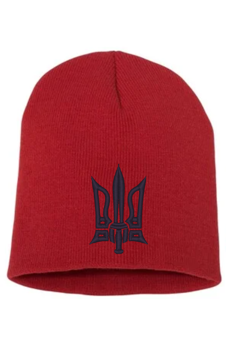 Knitted embroidered beanie hat "Combat Tryzub"